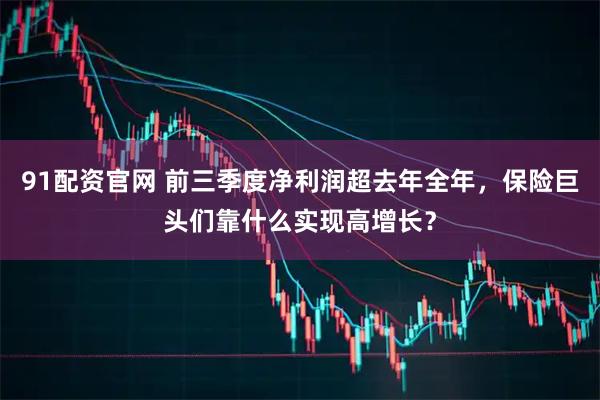 91配资官网 前三季度净利润超去年全年，保险巨头们靠什么实现高增长？