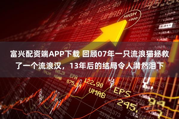 富兴配资端APP下载 回顾07年一只流浪猫拯救了一个流浪汉，13年后的结局令人潸然泪下